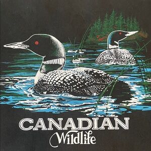 NWOT: Canadian Wildlife Loon Art Print